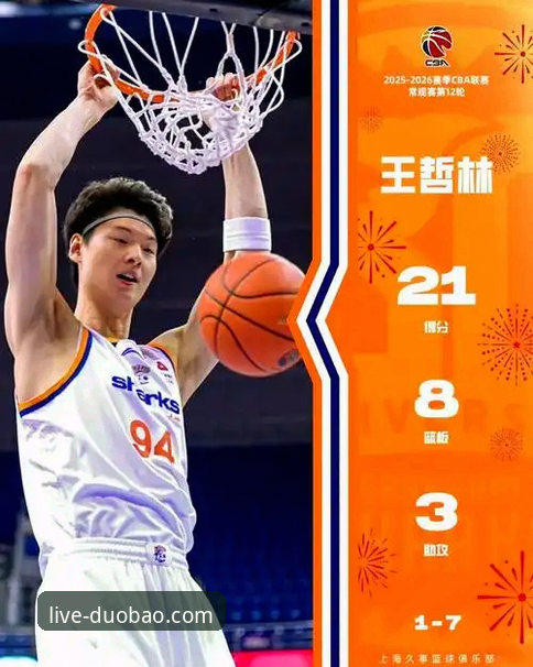 王哲林14年首冠全面解析：29+15数据深度解读与CBA总决赛制胜密码